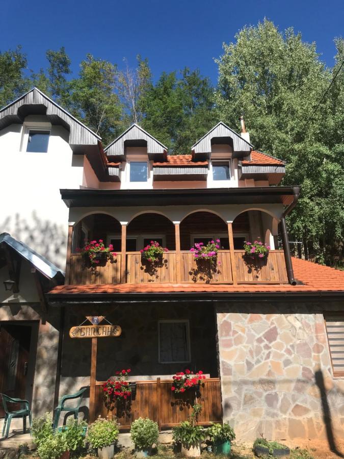 Kuca Za Odmor ,,Balkan” Crni Vrh エクステリア 写真