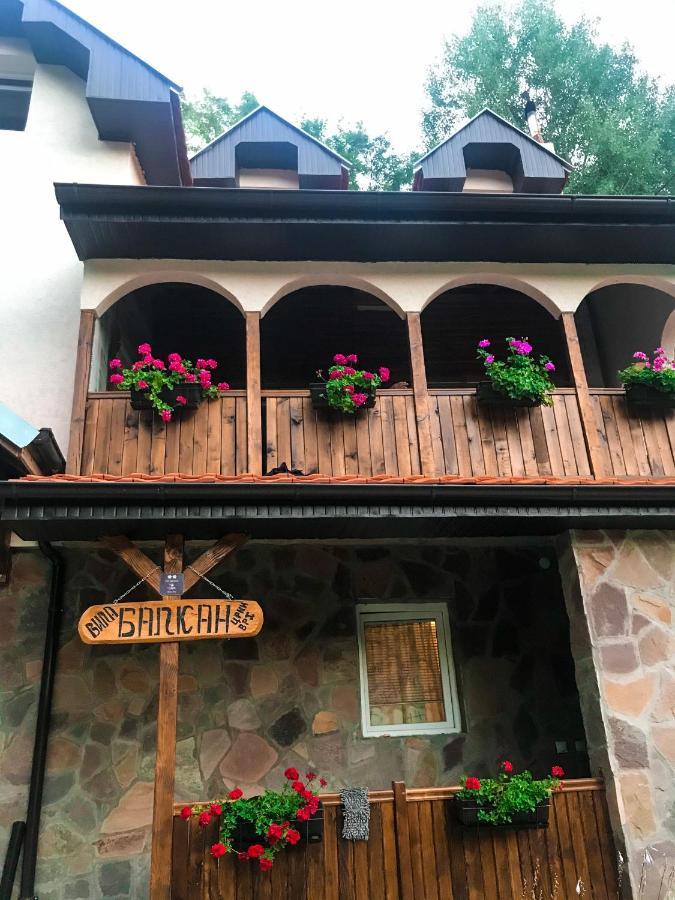 Kuca Za Odmor ,,Balkan” Crni Vrh エクステリア 写真