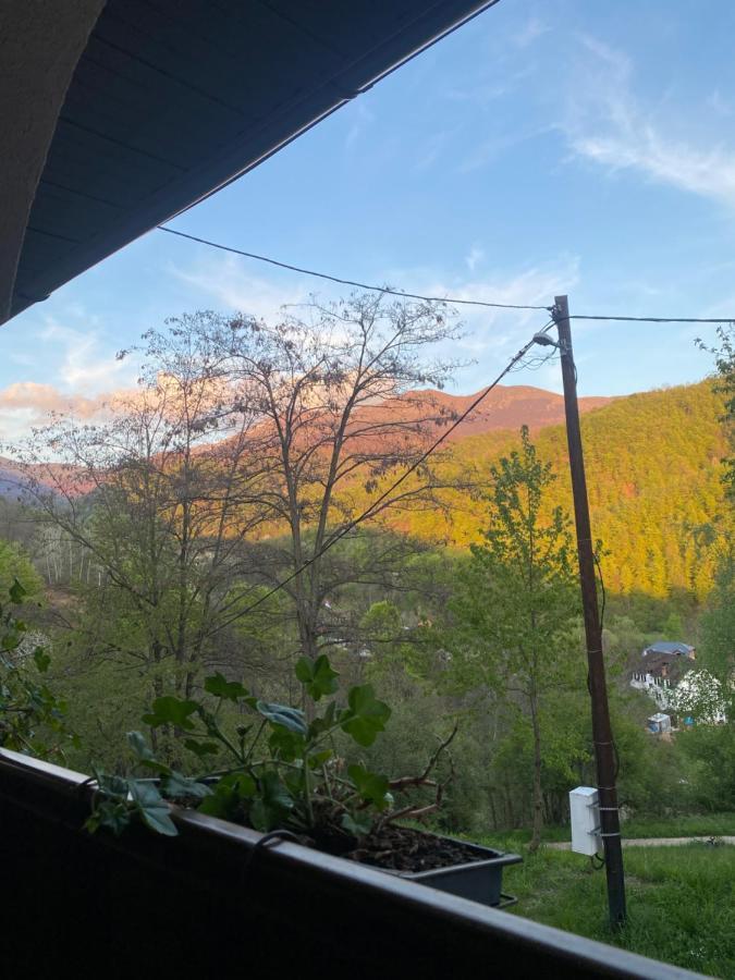 Kuca Za Odmor ,,Balkan” Crni Vrh エクステリア 写真