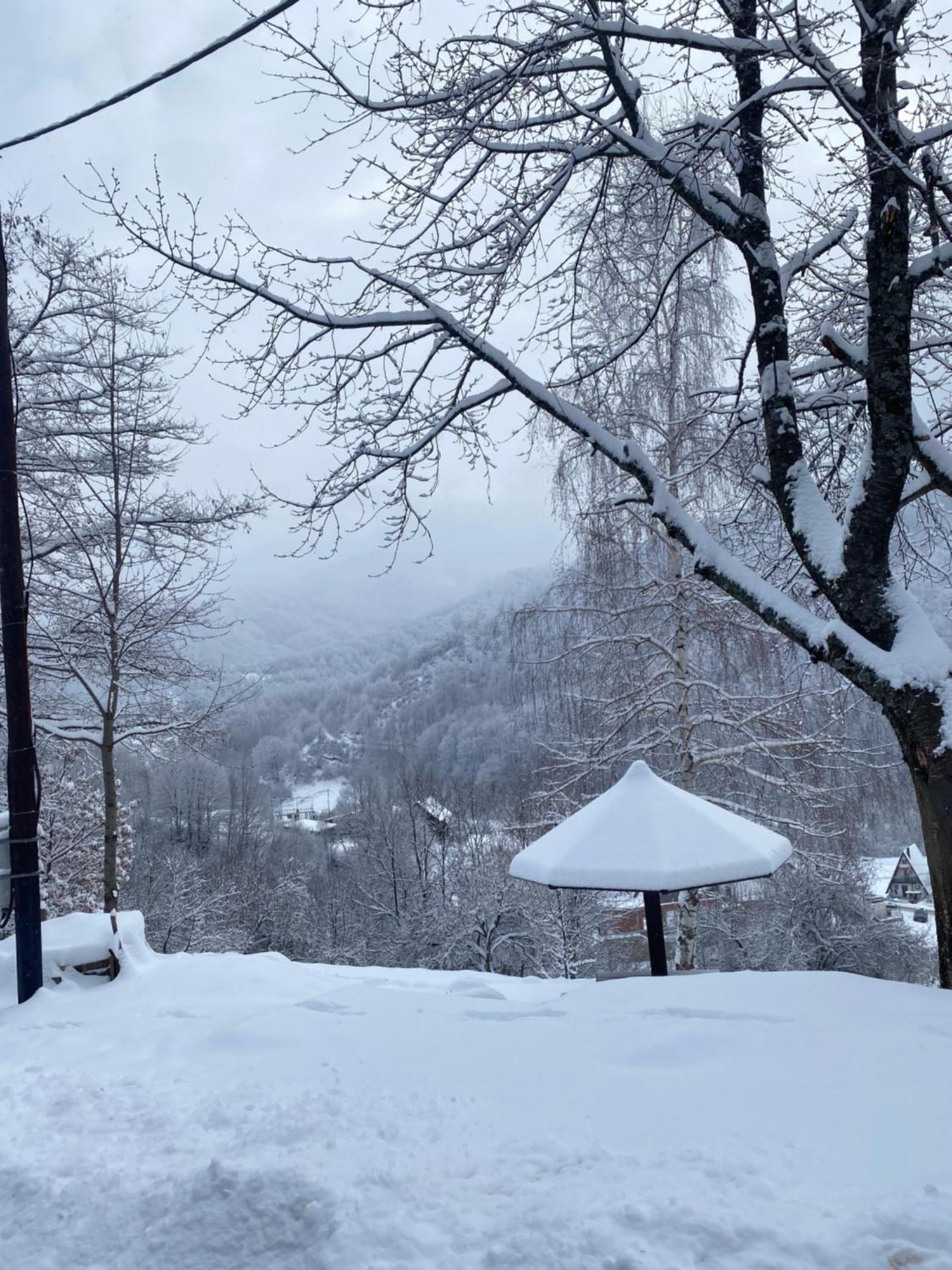 Kuca Za Odmor ,,Balkan” Crni Vrh エクステリア 写真