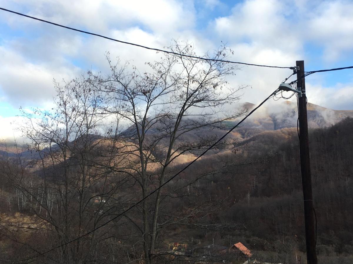 Kuca Za Odmor ,,Balkan” Crni Vrh エクステリア 写真