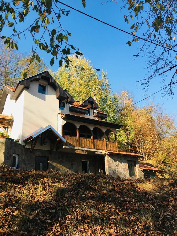 Kuca Za Odmor ,,Balkan” Crni Vrh エクステリア 写真